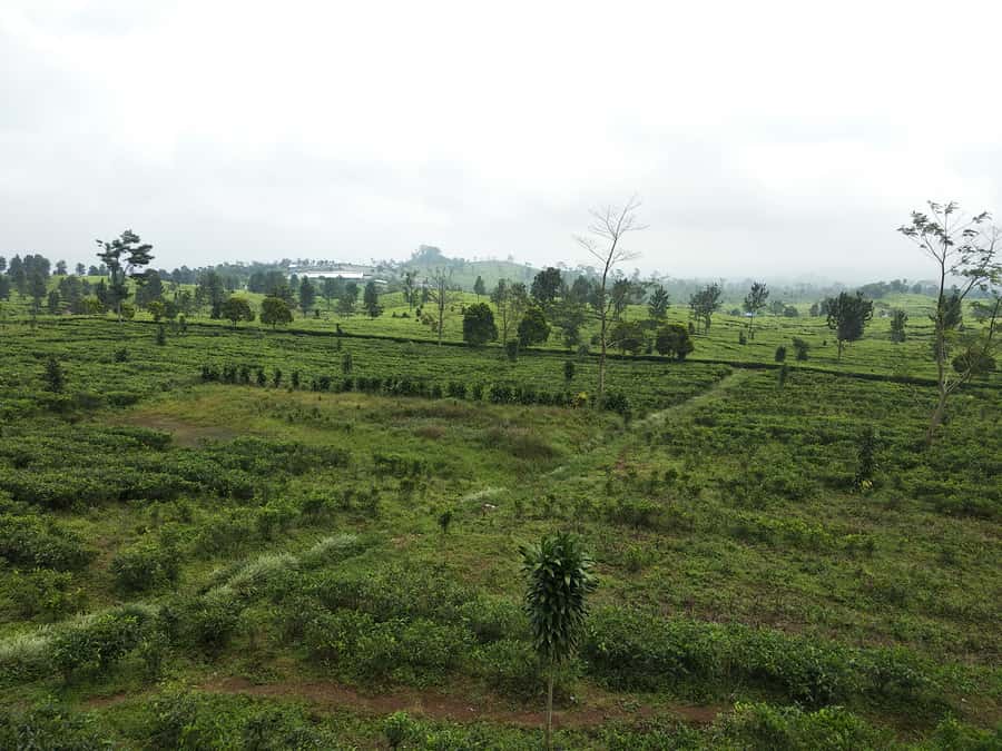 Jakarta: Active Volcano, Waterfall &beautiful local village - Key points at a glance