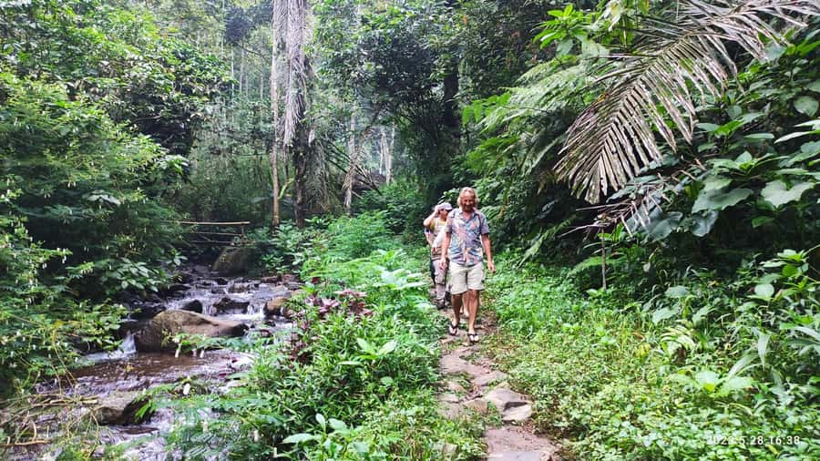 Jakarta: Active Volcano, Waterfall &beautiful local village - Optional Luwak coffee stop