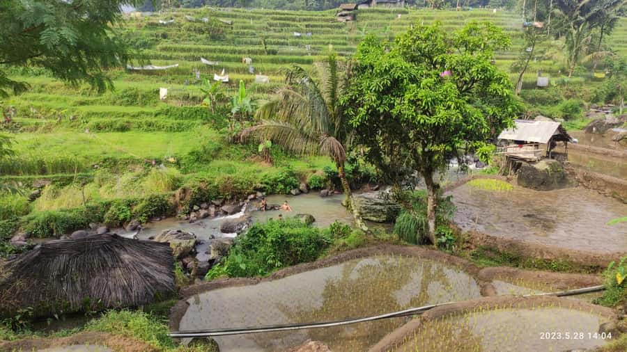 Jakarta: Active Volcano, Waterfall &beautiful local village - What the $126 price gets you