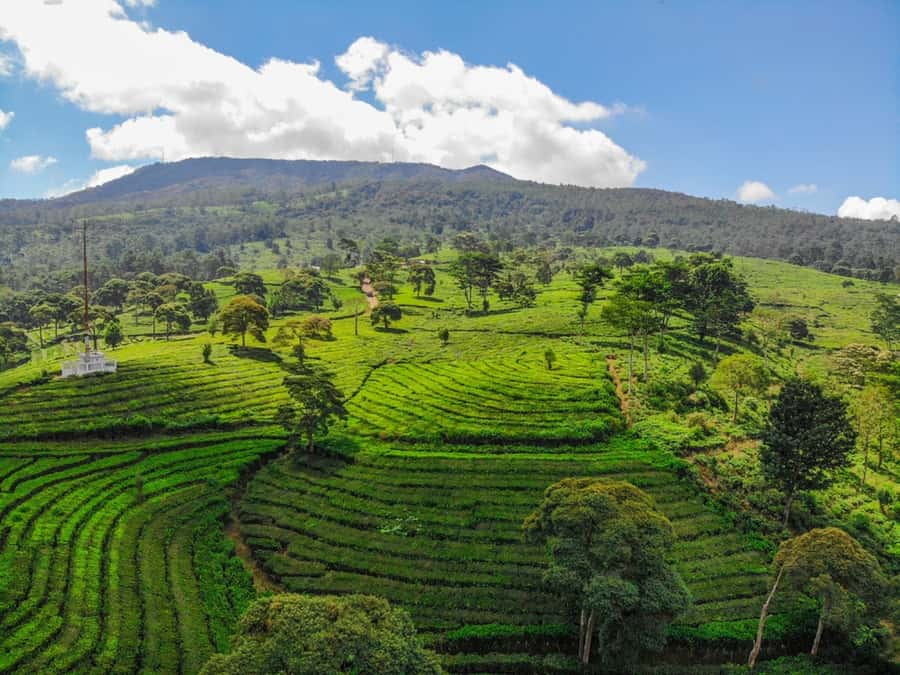 Jakarta: Bandung Volcano Day Tour - Why This Jakarta to Bandung Day Trip Works