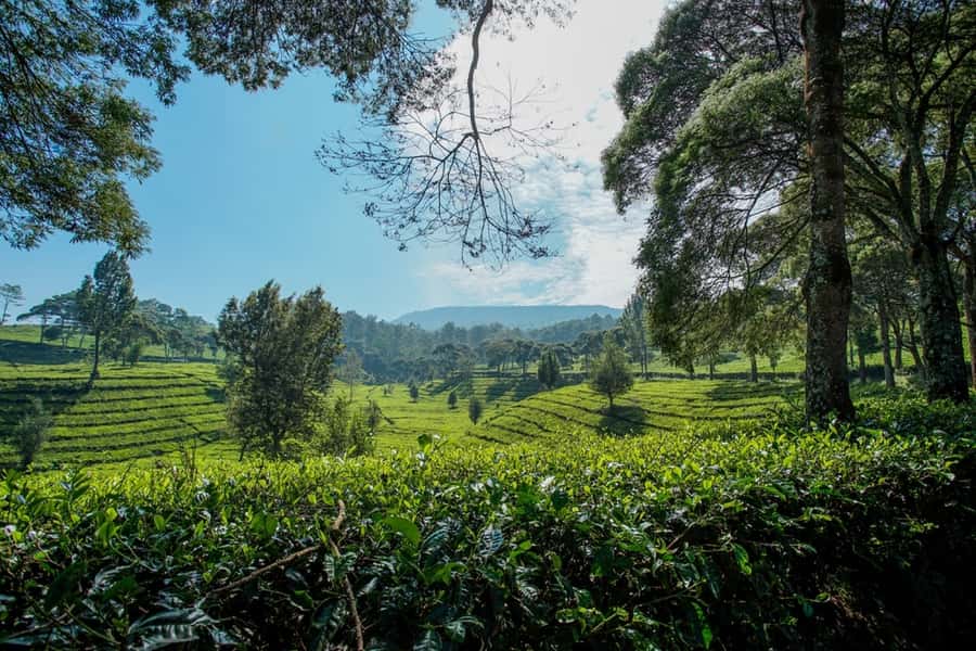 Jakarta: Bandung Volcano Day Tour - What to Pack for This 14-Hour Day