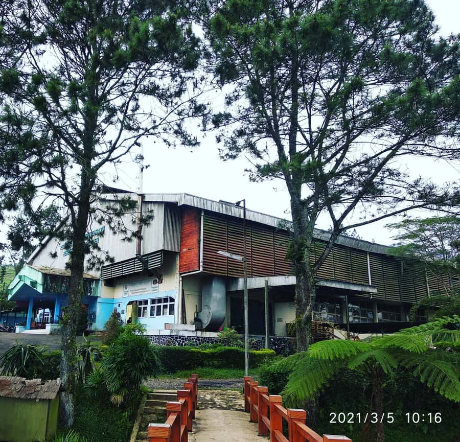 Jakarta :Volcano, HotSpring, Tea Factory, RiceField, &Coffee - Why this day trip gets beyond Jakarta