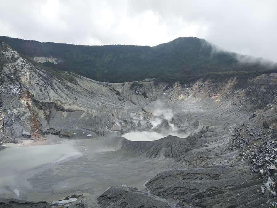 Jakarta :Volcano, HotSpring, Tea Factory, RiceField, &Coffee - Tangkuban Perahu and its sulfur crater