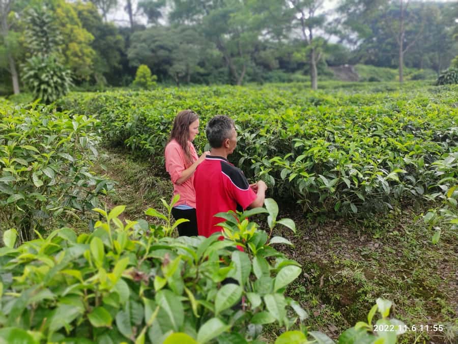 Jakarta :Volcano, HotSpring, Tea Factory, RiceField, &Coffee - Sari Ater Hot Spring for a short soak