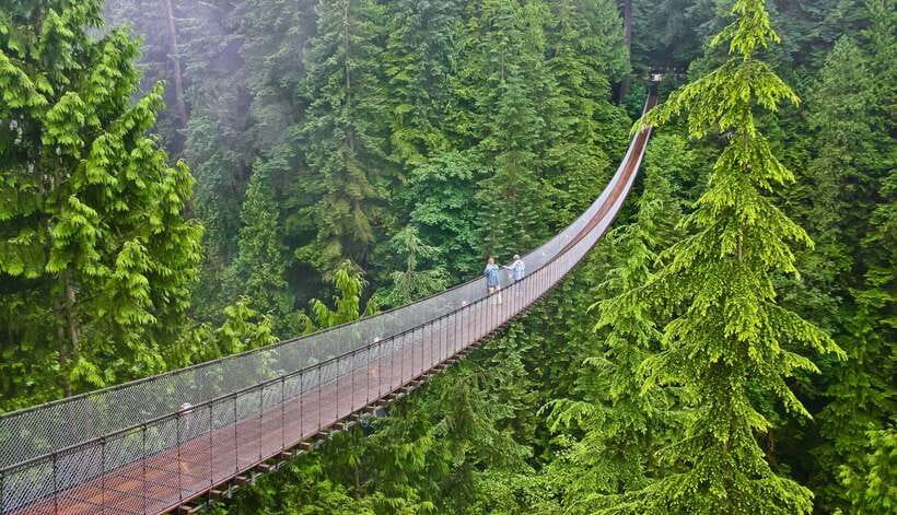 Jakarta: Volcano or Suspension Bridge,Ricefield & Hot Spring - The long road from Jakarta to West Java