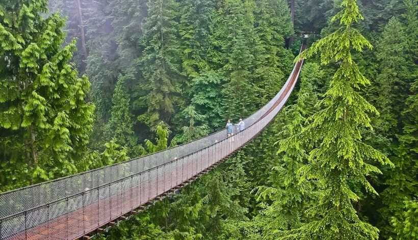 Jakarta: Volcano, Suspension Bridge, and Hot Spring Tour - Tea plantations and a slower look at West Java