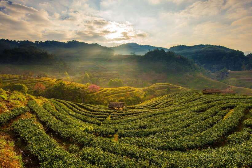 Jakarta: Volcano, Suspension Bridge, and Hot Spring Tour - Who this tour suits best