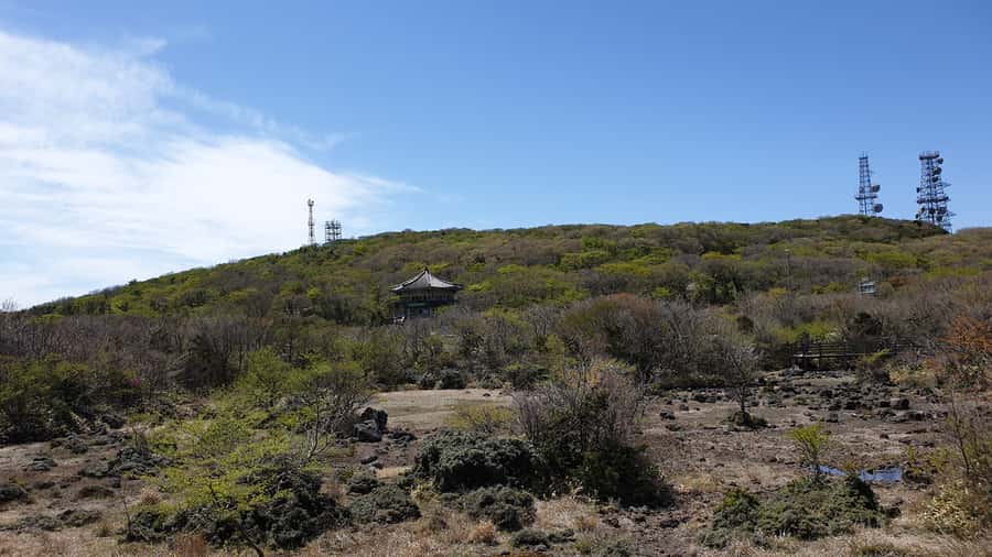 Jeju: Mt. Hallasan Hike and UNESCO Sites Day Tour - Green tea fields and a gentle finish at Seogwi Dawon