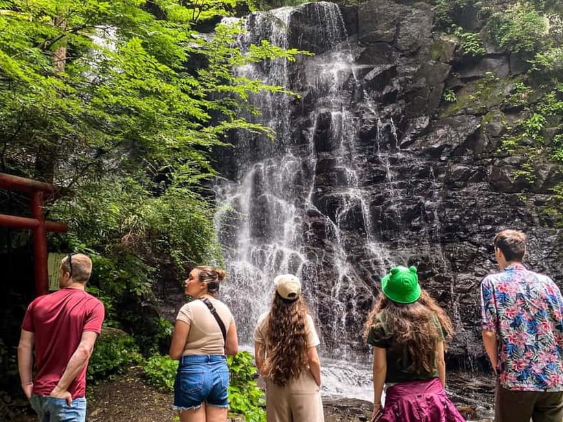 Kawaguchiko: Hidden Mt. Fuji Driving Tour with a Local Guide - Walking through Aokigahara Forest