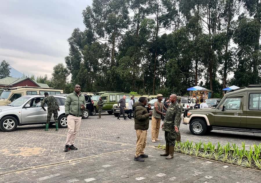 Kigali: Rwanda Gorilla Tracking in Volcanoes National Park - Who should book this experience?