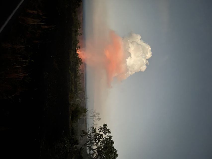Kilauea: Volcanoes National Park Guided Hike - Walking through native Hawaiian rainforest