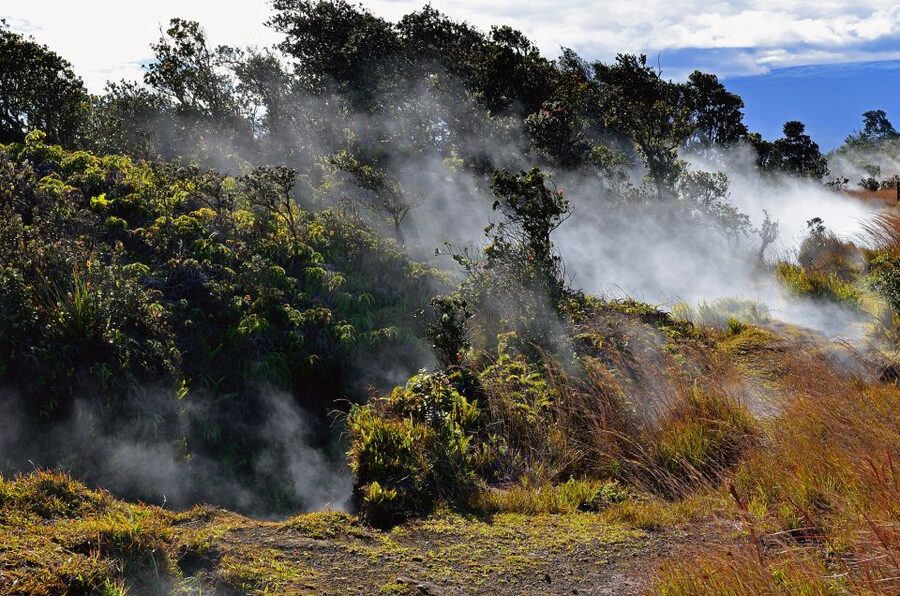 Kilauea: Volcanoes National Park Guided Hike - Reading the hardened lava lake