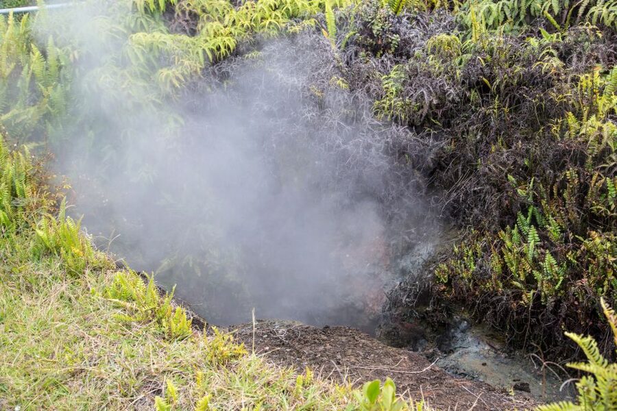 Kilauea: Volcanoes National Park Guided Hike - What the $120 price buys you