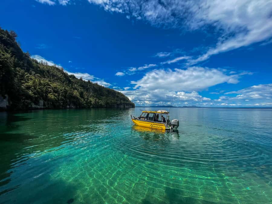Kinloch: Lake Taupo Catamaran Cruise with Paddleboarding - Why the Western Bays are worth your afternoon