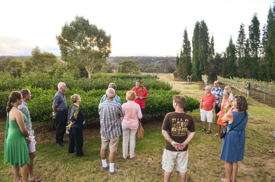 Kona: Hawaii Volcanoes National Park Tour - South Kona, Kaʻū, and the changing view from the van