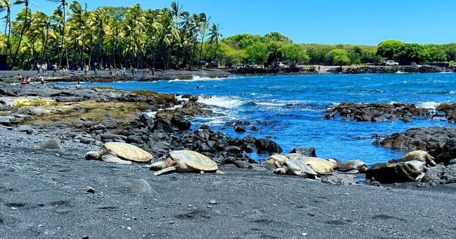 Kona: Kilauea Summit to Shore - What the $210 price really covers