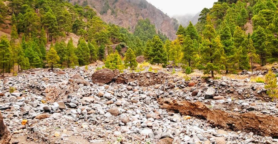 La Palma: Caldera de Taburiente National Park Guided Hike - Starting at Los Brecitos With Wide Mountain Views