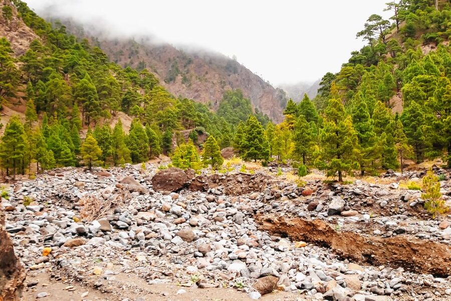 La Palma: Caldera de Taburiente National Park Guided Hike - A Cool Stop at Playa de Taburiente