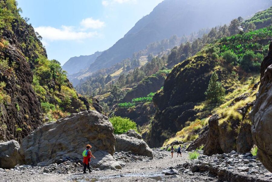 La Palma: Caldera de Taburiente National Park Guided Hike - Should You Book the Caldera de Taburiente Hike?