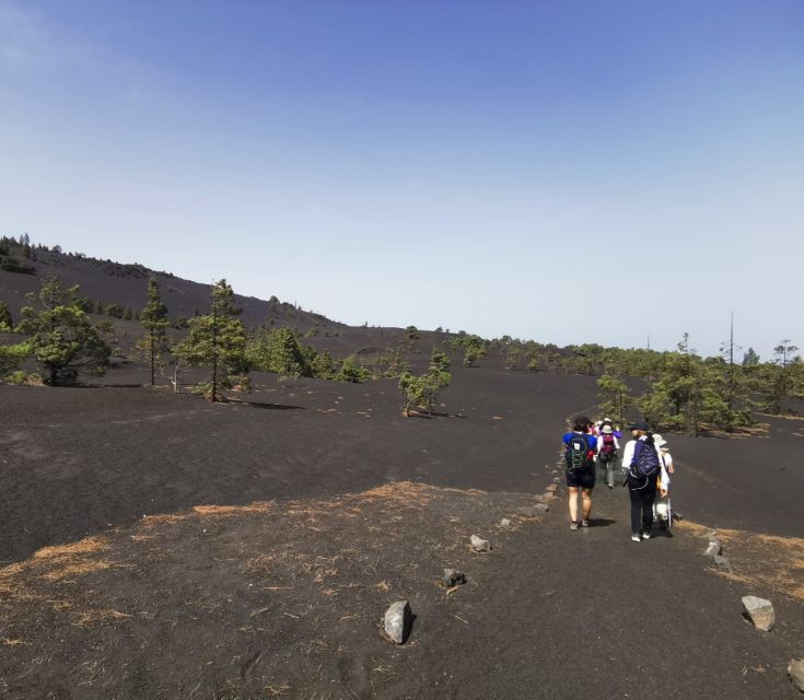 La Palma: Guided Tour to Tajogaite Volcano with Transfer - Walking toward a volcano that did not exist before 2021