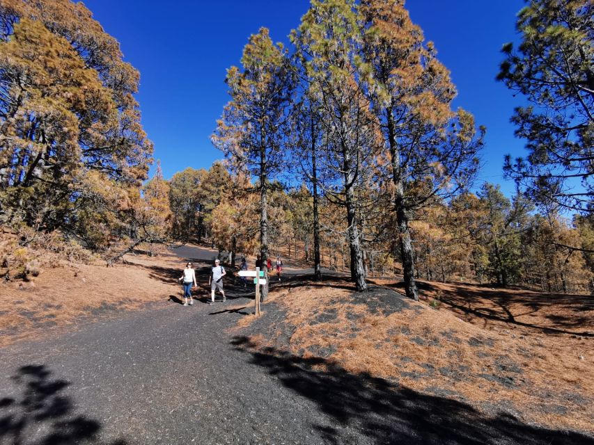 La Palma: Guided Tour to Tajogaite Volcano with Transfer - Why the small group and guide matter