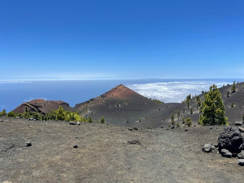 La Palma: Guided trekking tour to volcanoes south - Why this route is La Palma’s big volcanic walk