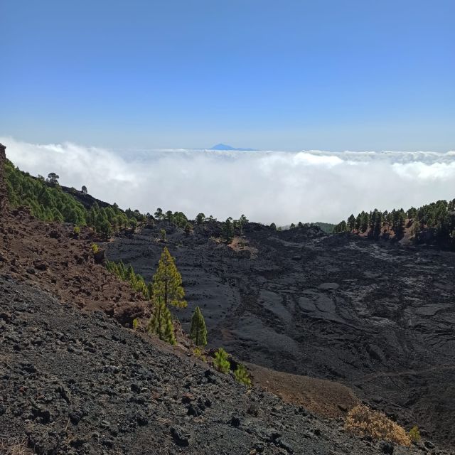 La Palma: Guided trekking tour to volcanoes south - Las Deseadas, the high point of the route