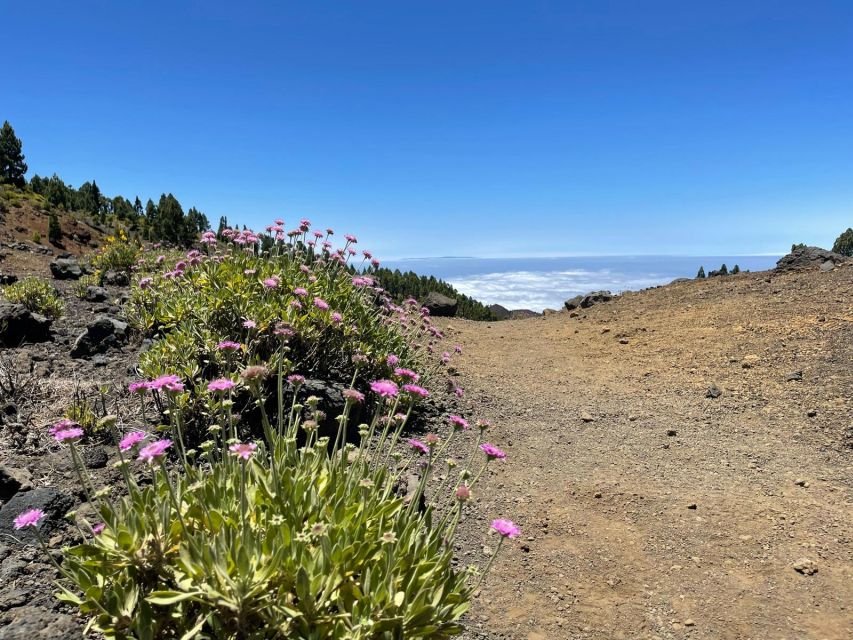 La Palma: Guided trekking tour to volcanoes south - The descent toward Volcán de Martín