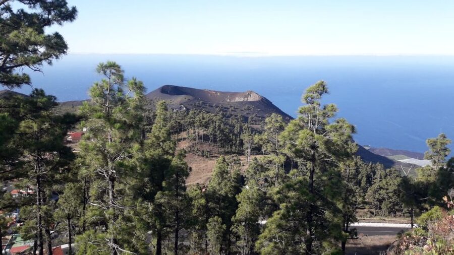 La Palma: San Antonio and Teneguia Volcanos Tour by 4x4 Bus - Why this tour is about more than volcano views
