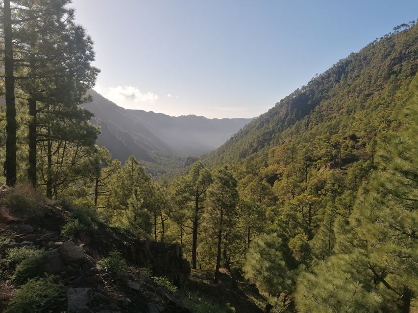 La Palma: San Antonio and Teneguia Volcanos Tour by 4x4 Bus - Comfort, timing, and what to bring