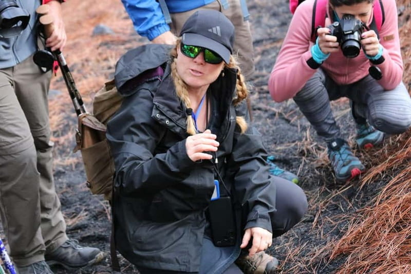 La Palma: Tajogaite Volcano Guided Hike - Steam, sulfur, and the small details