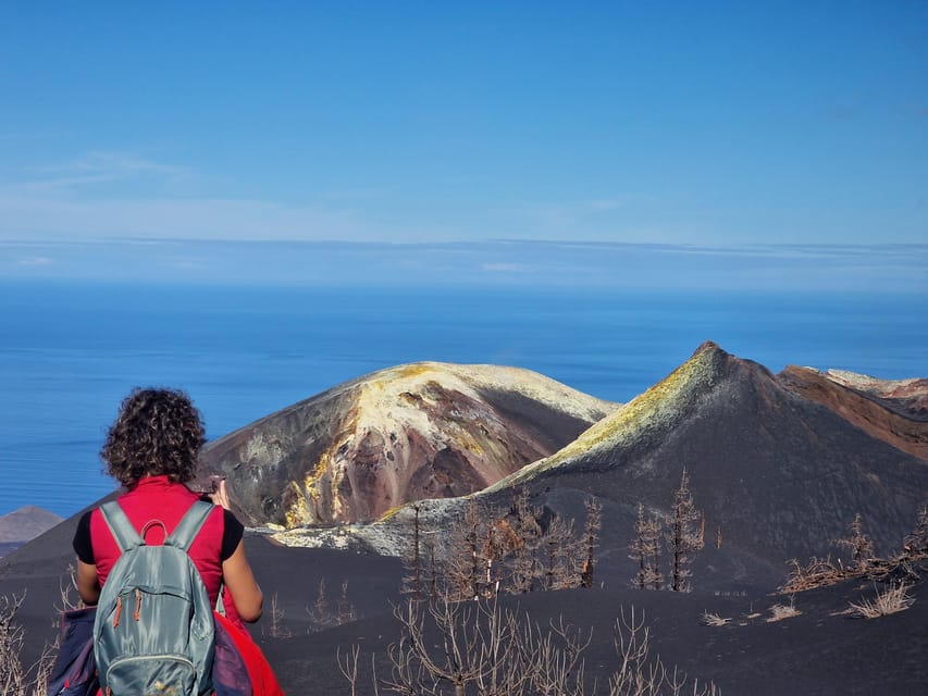 La Palma: Tajogaite Volcano Guided Trek - Why Tajogaite feels different from an older volcano