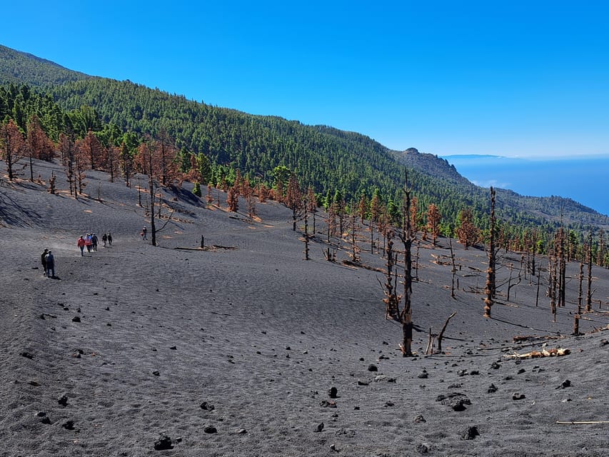 La Palma: Tajogaite Volcano Guided Trek - Walking over ash and new volcanic ground