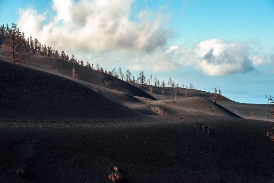 La Palma: Tajogaite Volcano Guided Trek - What the guide adds to the walk