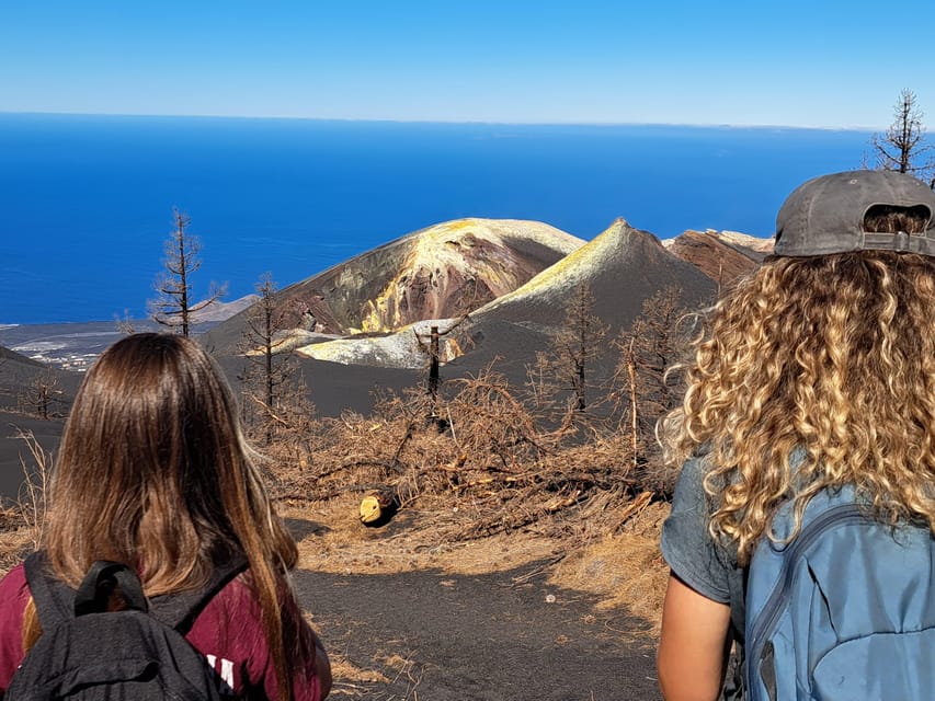 La Palma: Tajogaite Volcano Guided Trek - Should you book the Tajogaite Volcano trek?