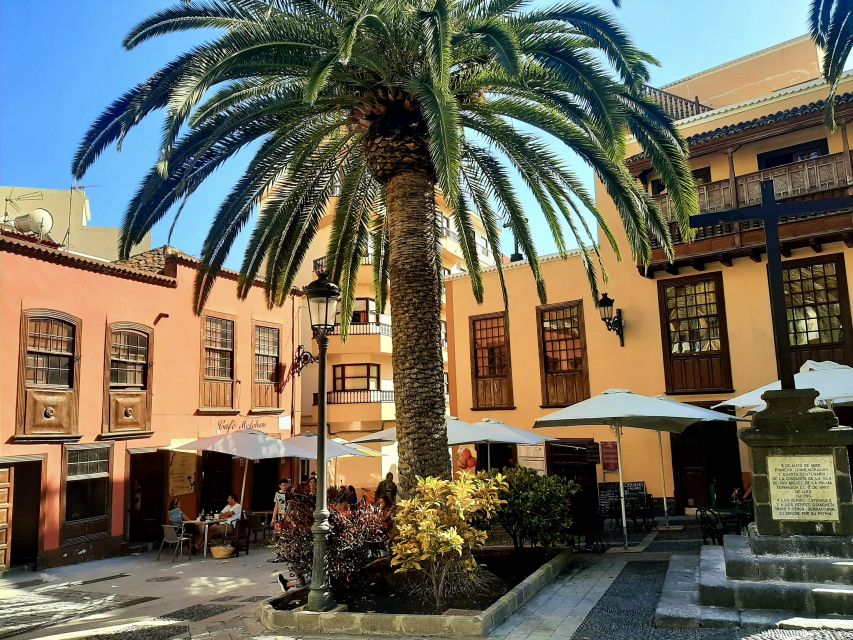 La Palma Tour: Santa Cruz, Cumbrecita and Volcanic Landscape - Tacande and the Tajogaite eruption zone
