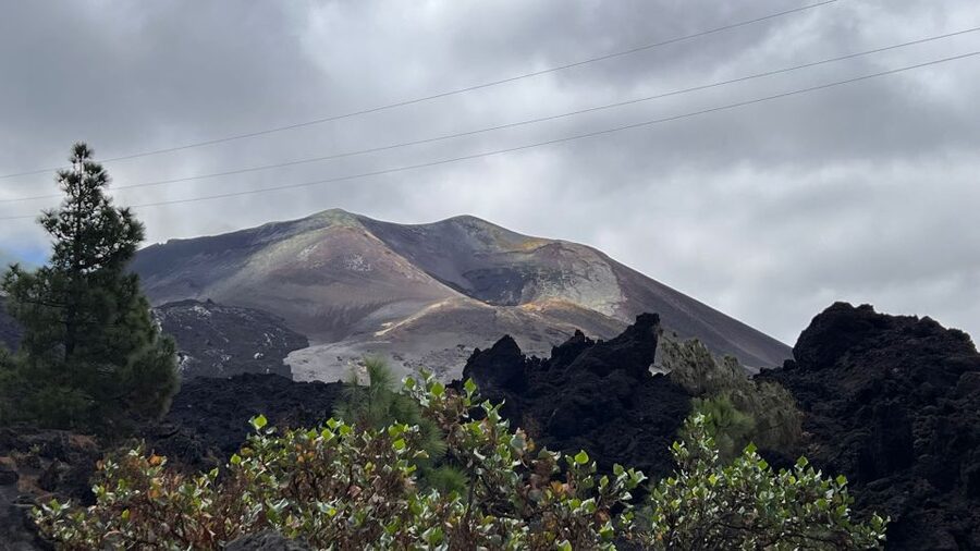 La Palma Tour: Santa Cruz, Cumbrecita and Volcanic Landscape - Timing, bus travel, and cruise-day planning