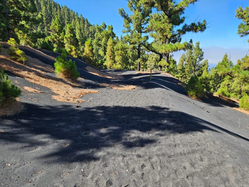 La Palma: Tour to the new Tajogaite volcano 360º. - The guides make the science easier to follow
