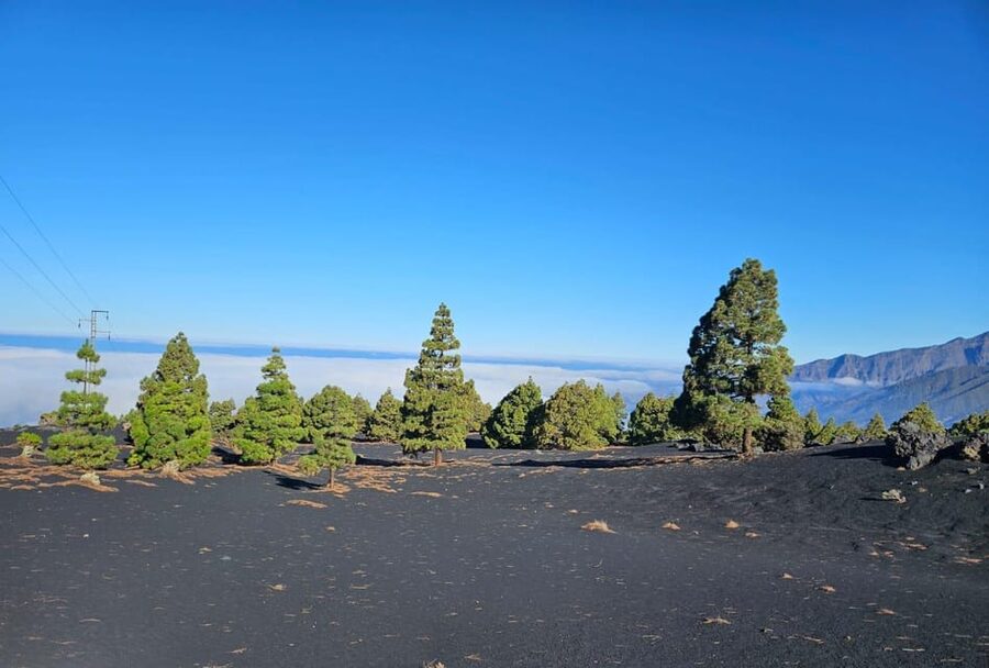 La Palma: Tour to the new Tajogaite volcano 360º. - Starting at Llano del Jable