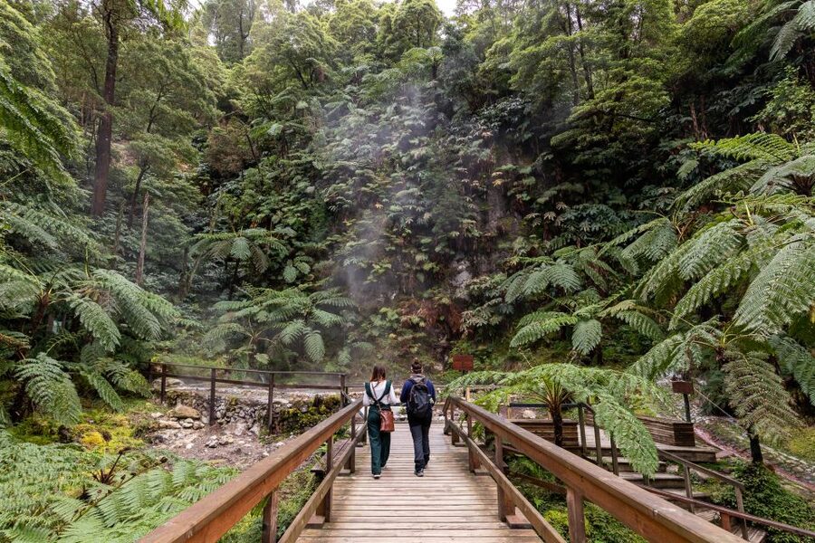 Lagoa do Fogo: Biologist-guided Volcano e-Tour +Hot Springs - Should you book this Lagoa do Fogo tour?
