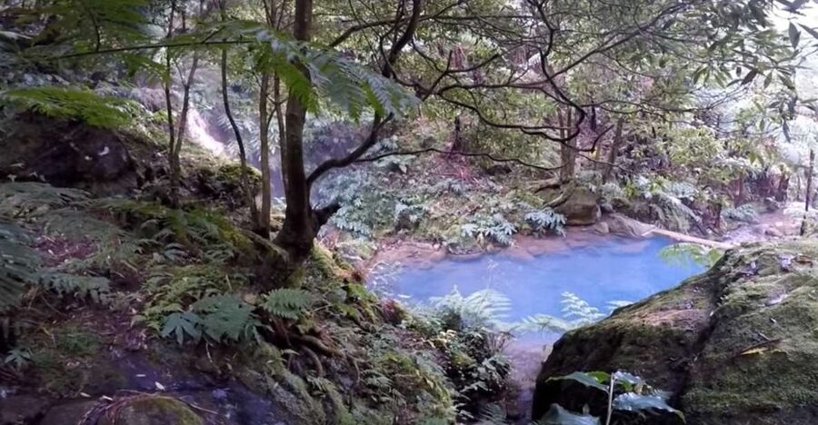 Lagoa do Fogo: Biologist-guided Volcano e-Tour +Hot Springs - Why this four-hour volcano tour works