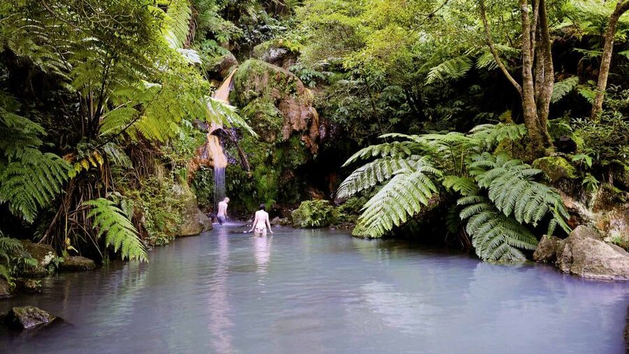 Lagoa do Fogo: Biologist-guided Volcano e-Tour +Hot Springs - A small van, a flexible plan