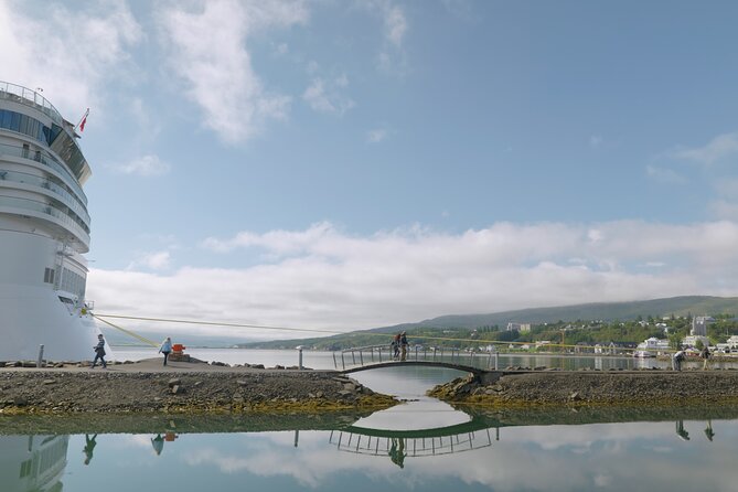 Lake Mývatn & Goðafoss Waterfall from Akureyri Port - Skútustaðir and the pseudocraters of Lake Mývatn