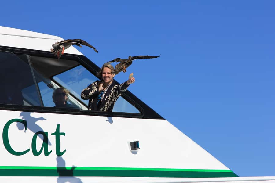 Lake Taupo: 1.5-Hour Maori Rock Carvings 5:00 PM Cruise - Who Will Enjoy This Taupo Cruise Most