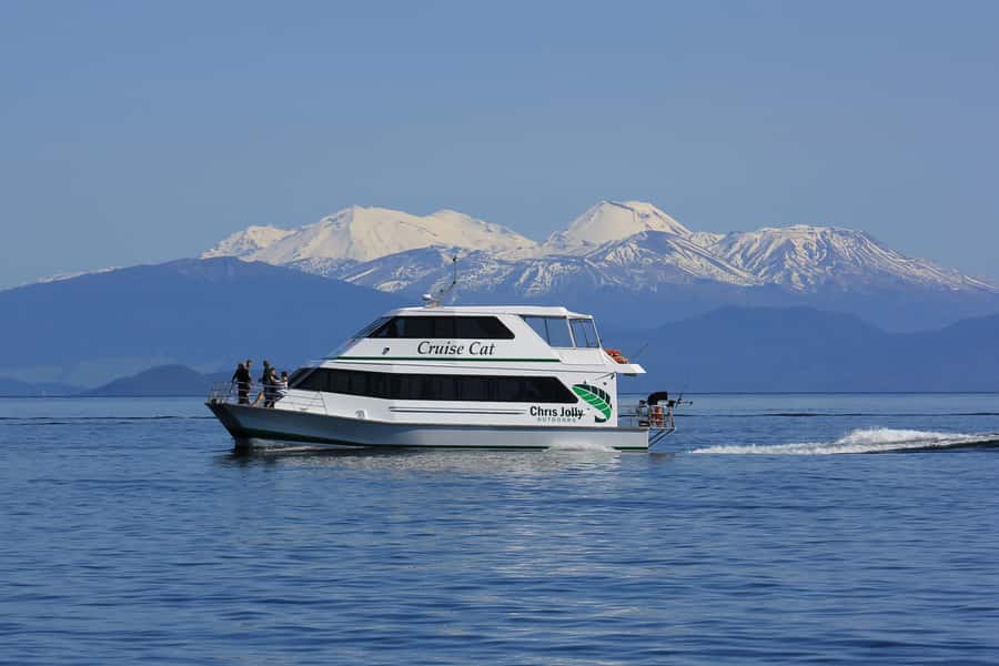 Lake Taupo: 1.5-Hour Māori Rock Carvings Cruise - Seeing the Ngātoroirangi carvings from the lake