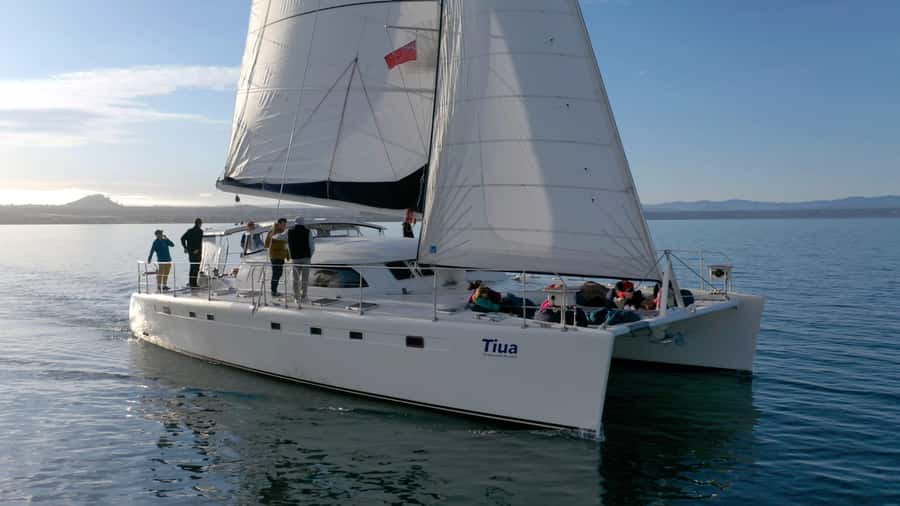 Lake Taupo: Luxury Sailing Catamaran to Māori Rock Carvings - The quiet way to see Great Lake Taupō