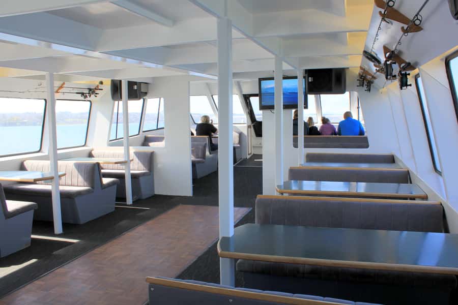 Lake Taupo: Maori Rock Carvings 8.30 AM 1.5-Hour Cruise - Who will enjoy this cruise most?