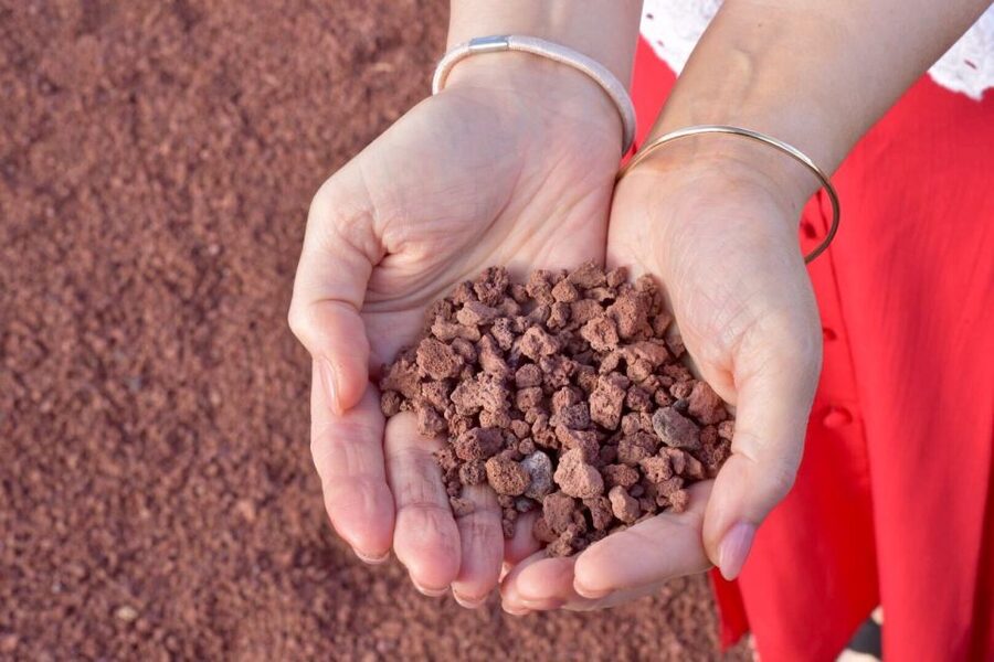 Lanzarote: 5-Hour Timanfaya National Park Southern Tour - Timanfaya National Park and the Fire Mountains