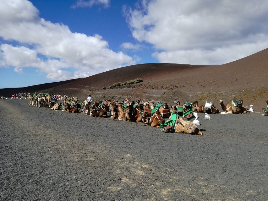Lanzarote: 5-Hour Timanfaya National Park Southern Tour - A 20-minute view of the Green Lagoon