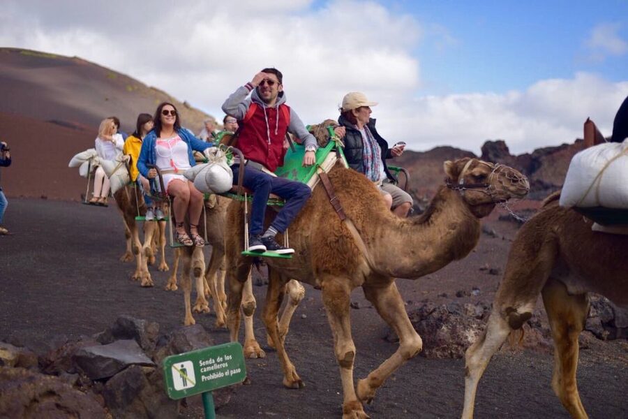 Lanzarote: 5-Hour Timanfaya National Park Southern Tour - What the timing really means